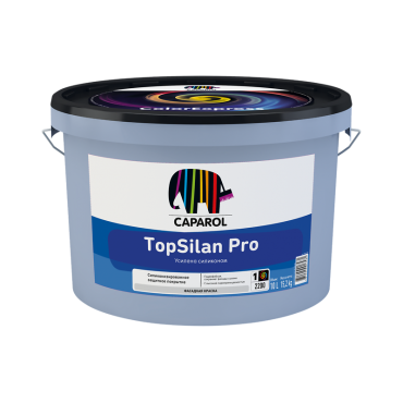 TopSilan Pro, 10 л...
